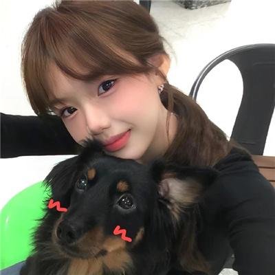 白狼 在线观看